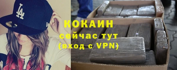 первитин Няндома