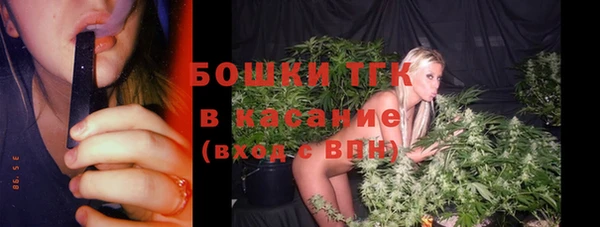 первитин Няндома