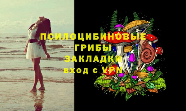 бошки Нягань